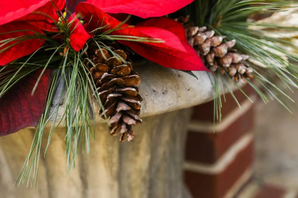 Brick Colonial Holiday Entry, view 7