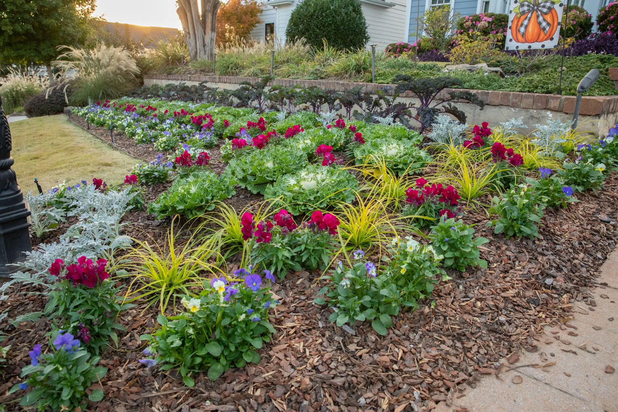 Front flower bed in the evening, layered from violas at the edge to ornamental kale along a retaining wall