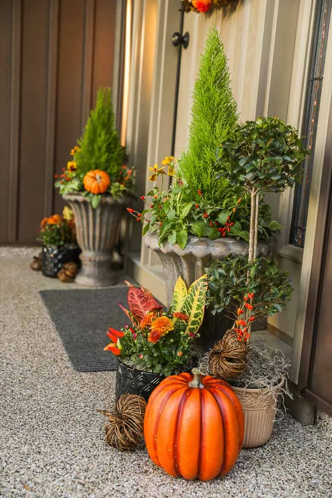Pumpkins stepped down a porch walk