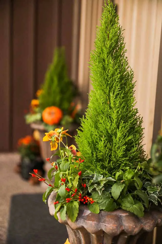 October Porch, view 5