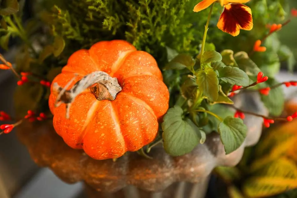 October Porch, view 8