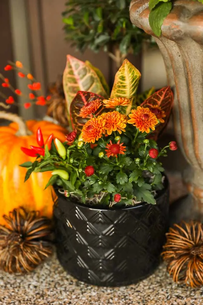 October Porch, view 9
