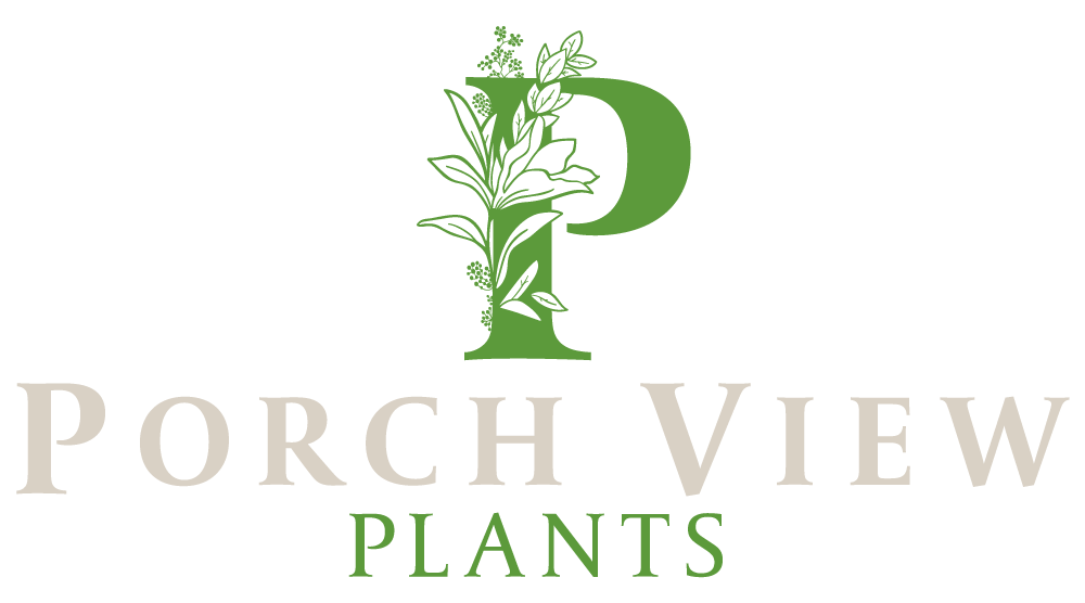 Porch View Plants